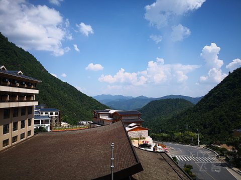 61.jpg