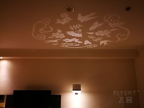 IMG_20170419_202300.jpg