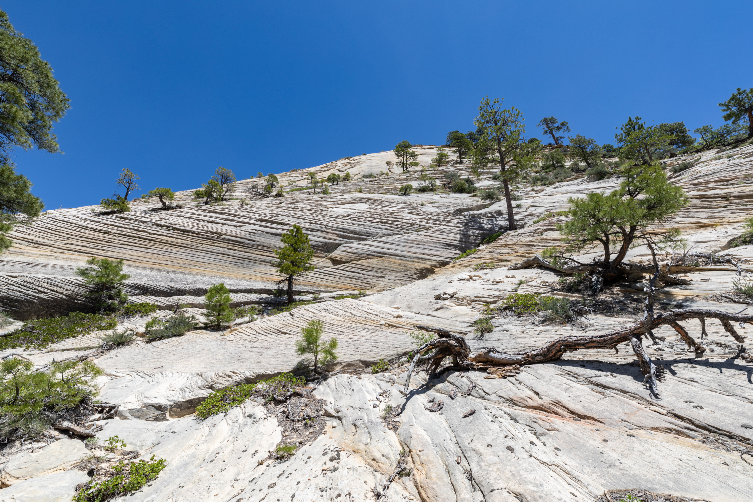 ##ƽλáHampton Inn Sprin**aleZion National ParkҪμ