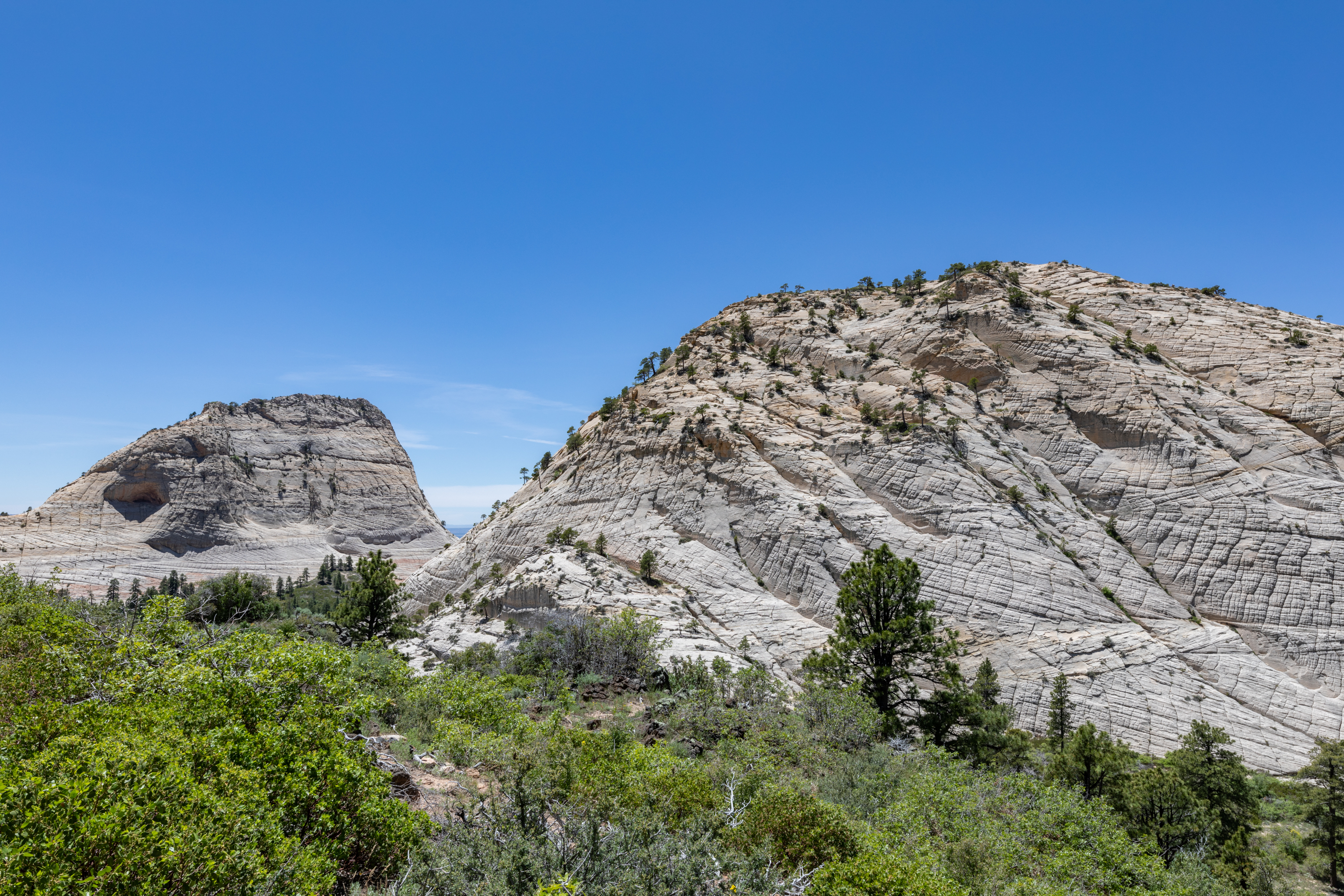 ##ƽλáHampton Inn Sprin**aleZion National ParkҪμ