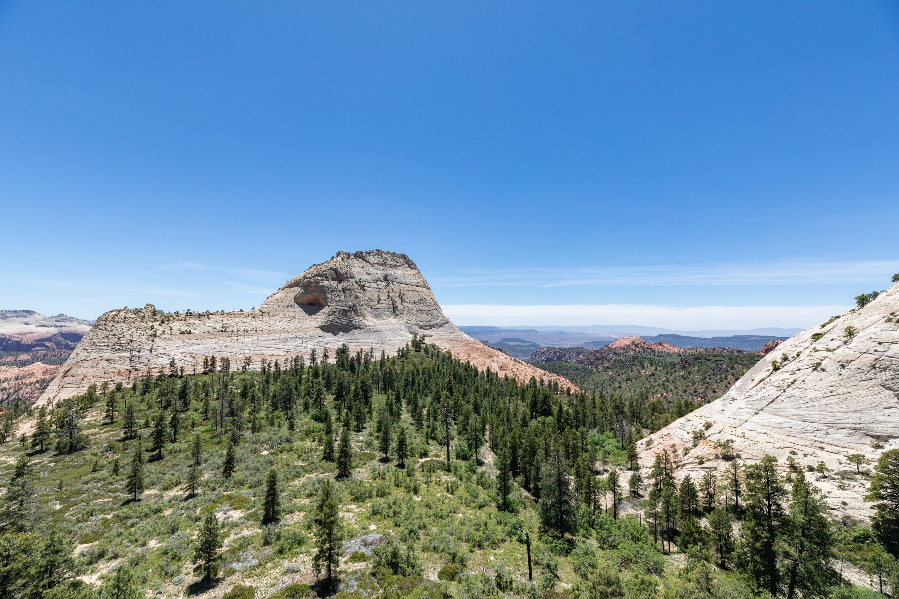 ##ƽλáHampton Inn Sprin**aleZion National ParkҪμ