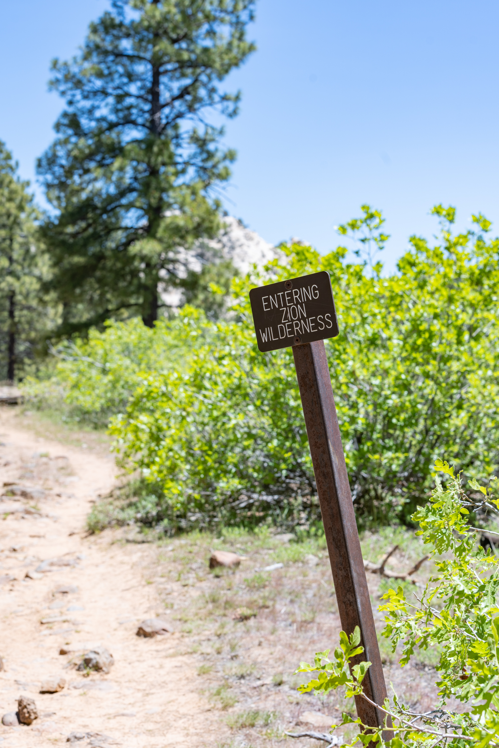 ##ƽλáHampton Inn Sprin**aleZion National ParkҪμ