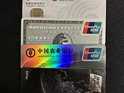 <em>muse</em>