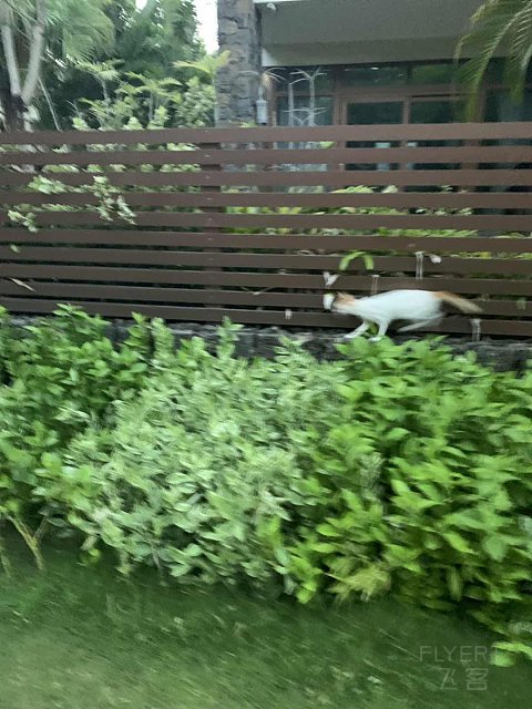 寰俊鍥剧墖_20190704223935.jpg