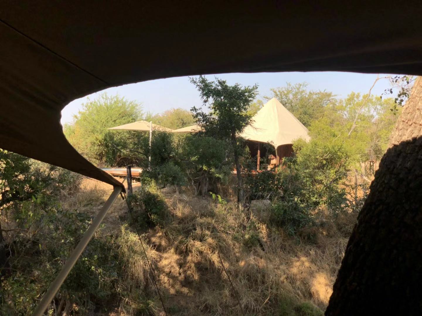 [׷] [Hamiltons Tented Camp]ݻȻڿ³ҹ԰عߣ...