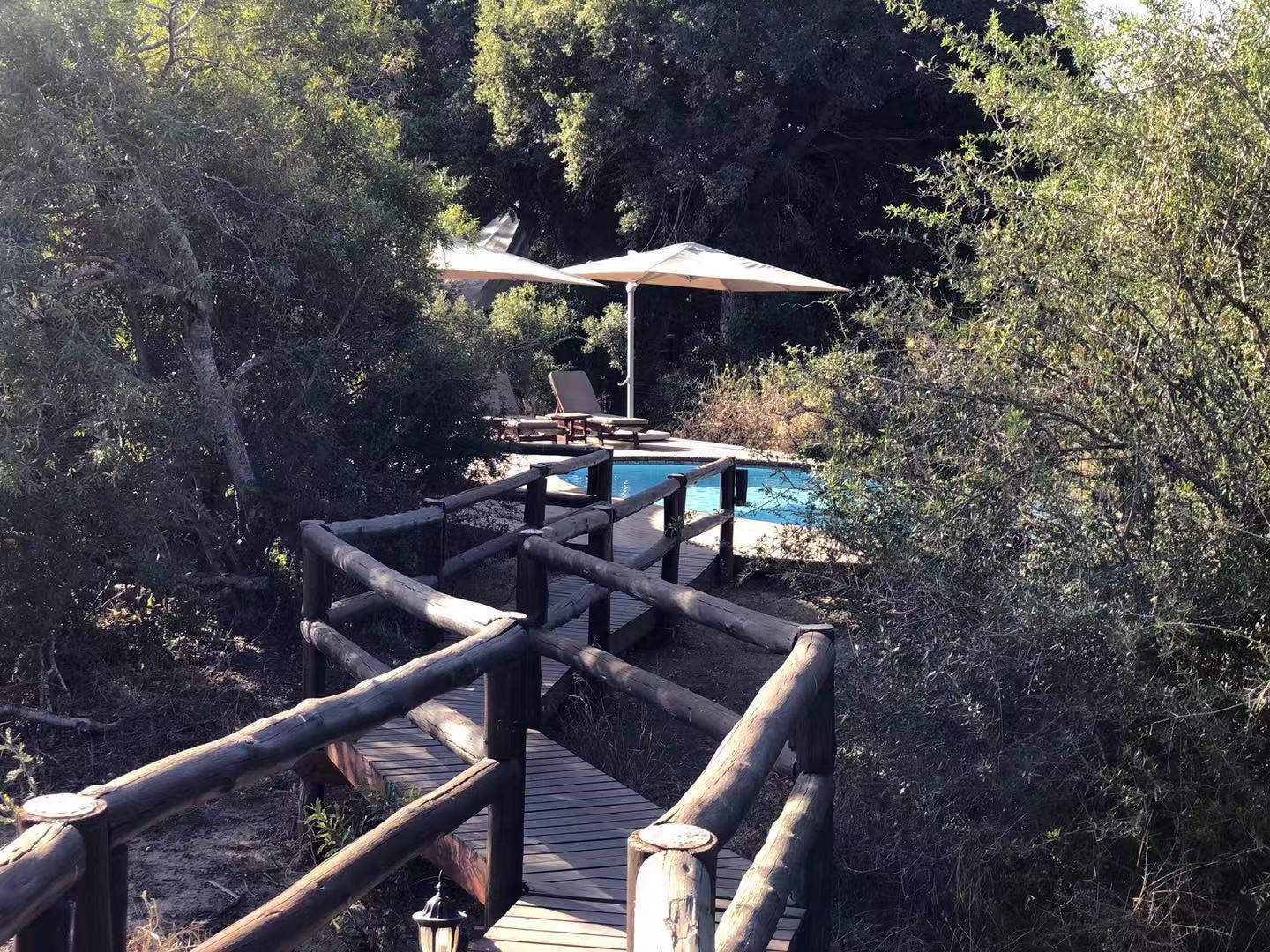 [׷] [Hamiltons Tented Camp]ݻȻڿ³ҹ԰عߣ...