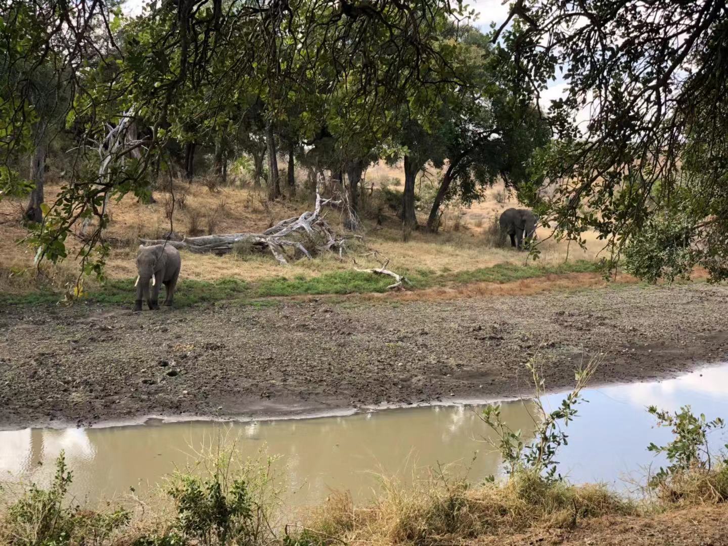 [׷] [Hamiltons Tented Camp]ݻȻڿ³ҹ԰عߣ...