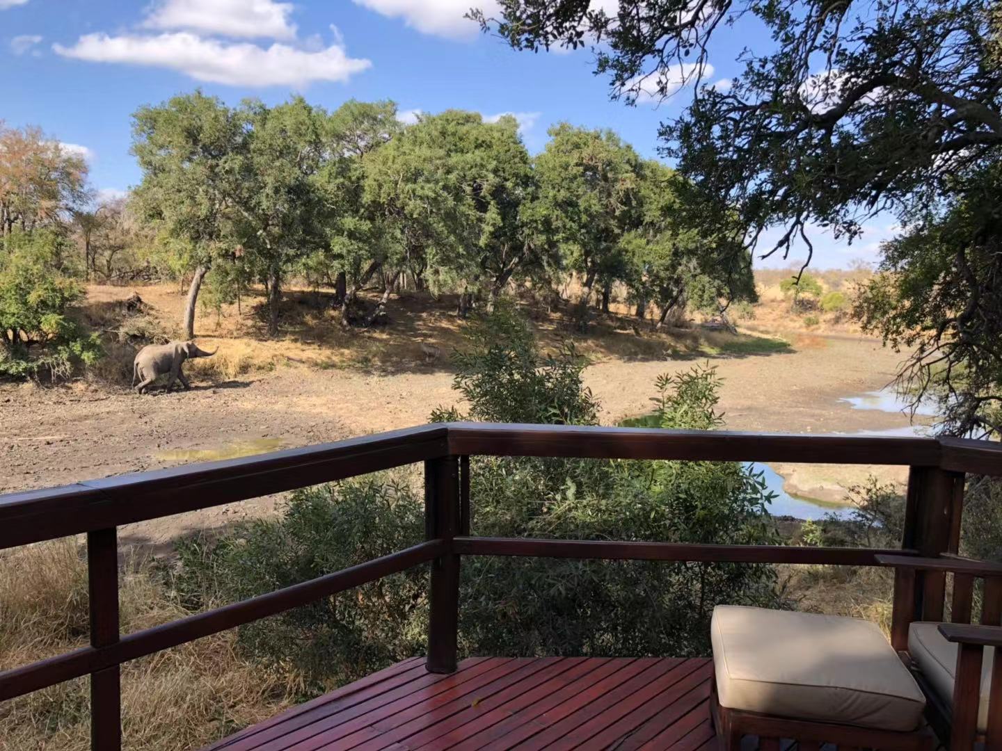 [׷] [Hamiltons Tented Camp]ݻȻڿ³ҹ԰عߣ...