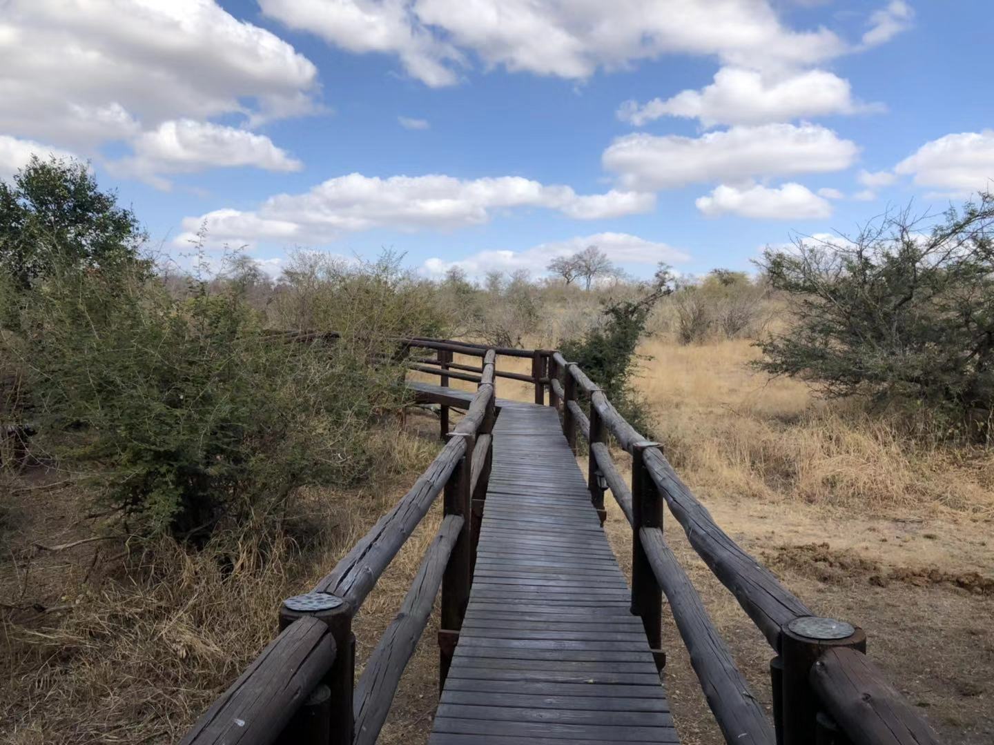 [׷] [Hamiltons Tented Camp]ݻȻڿ³ҹ԰عߣ...