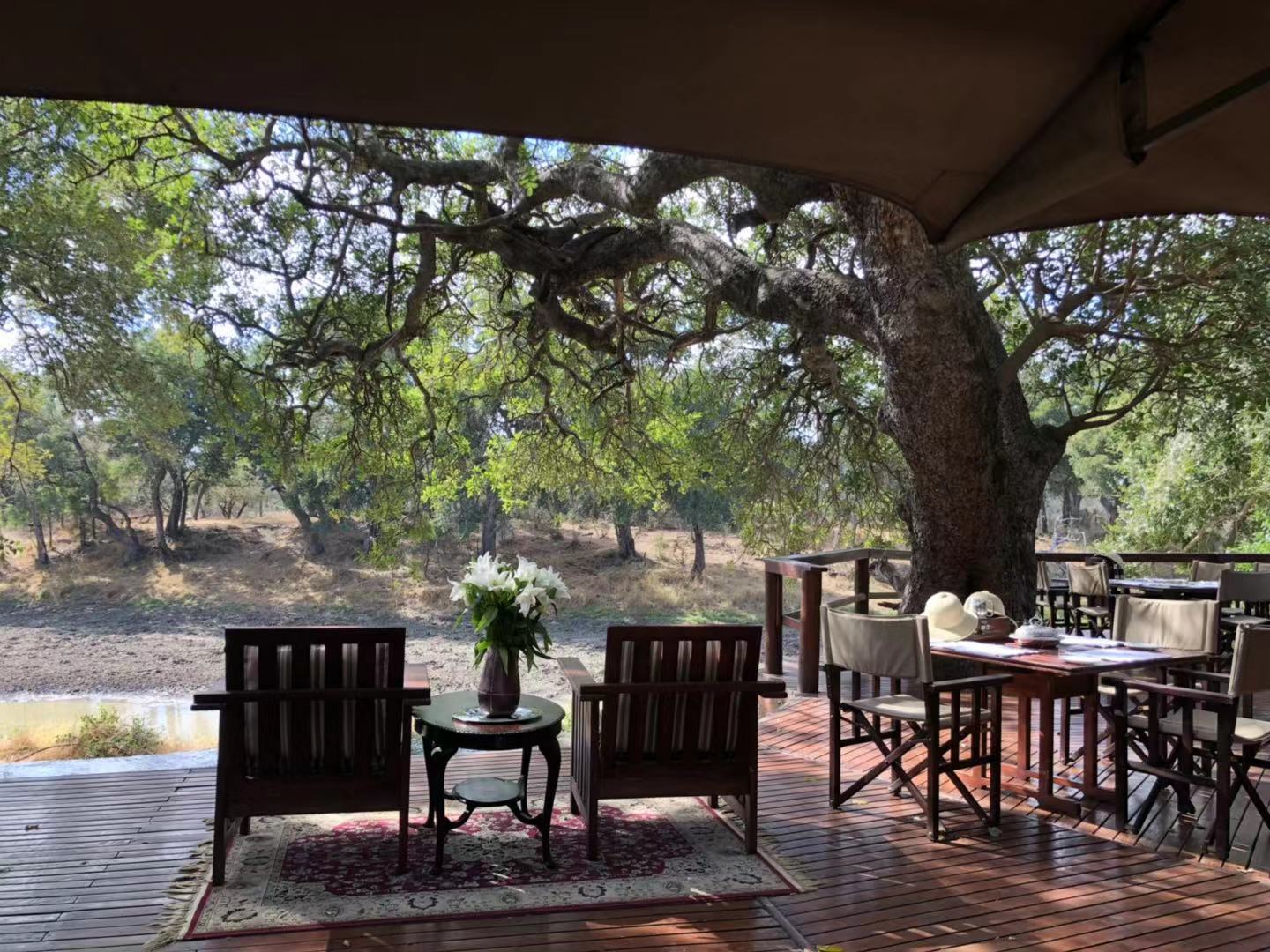 [׷] [Hamiltons Tented Camp]ݻȻڿ³ҹ԰عߣ...