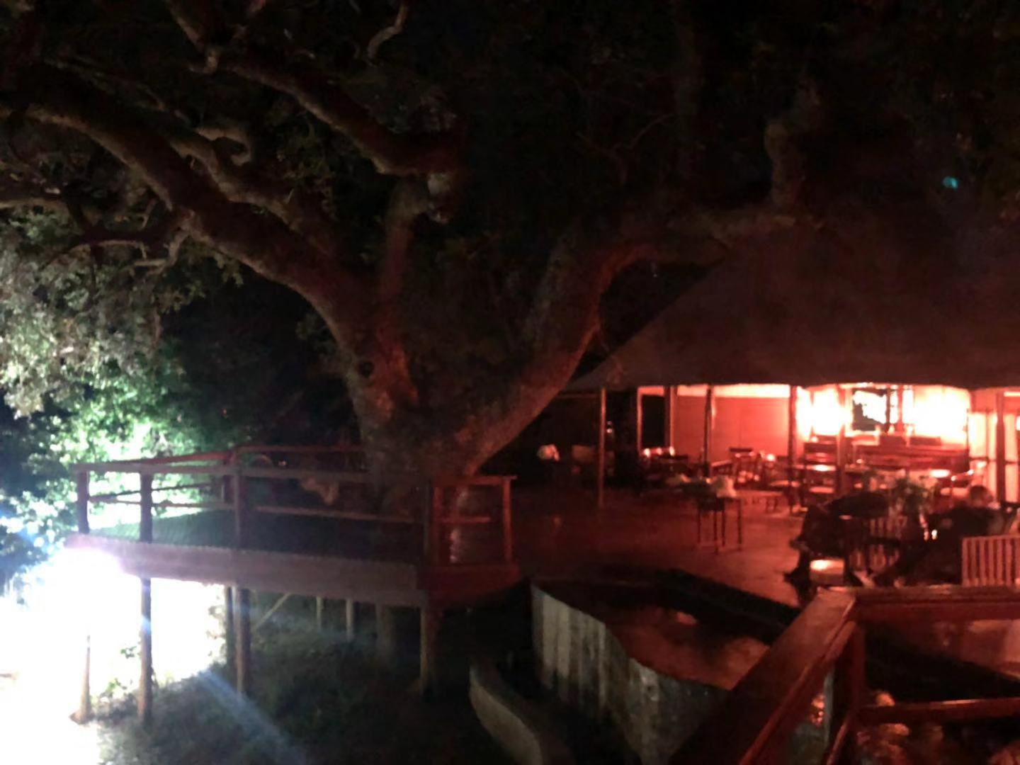 [׷] [Hamiltons Tented Camp]ݻȻڿ³ҹ԰عߣ...
