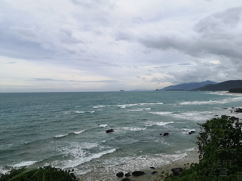 IMG_20190801_165939.jpg