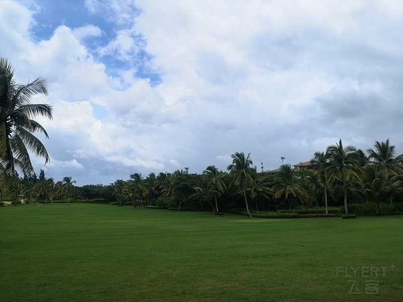 IMG_20190802_121719.jpg