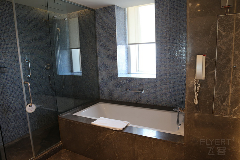 Istanbul--Istanbul Marriott Hotel Sisli Suite Bathroom (1).JPG