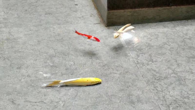 寰俊鍥剧墖_20190810104221.jpg 寰俊鍥剧墖_20190810104221.jpg