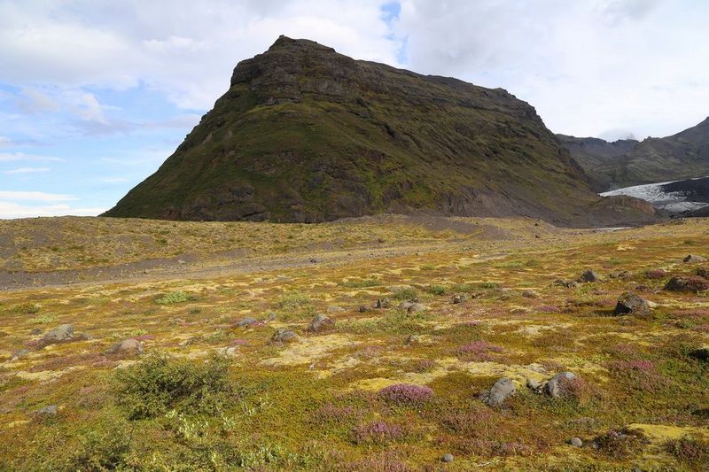 Vatnajökull National Park--Skaftafell (14).JPG