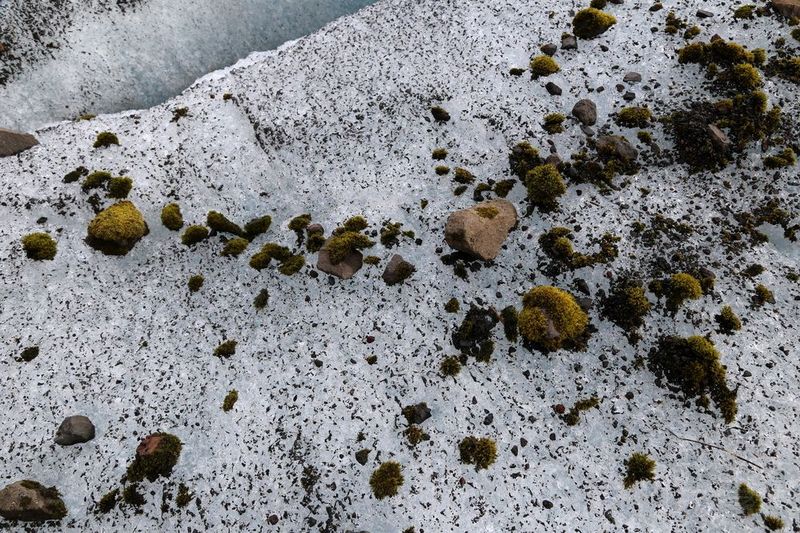 Vatnajökull National Park--Skaftafell (33).JPG
