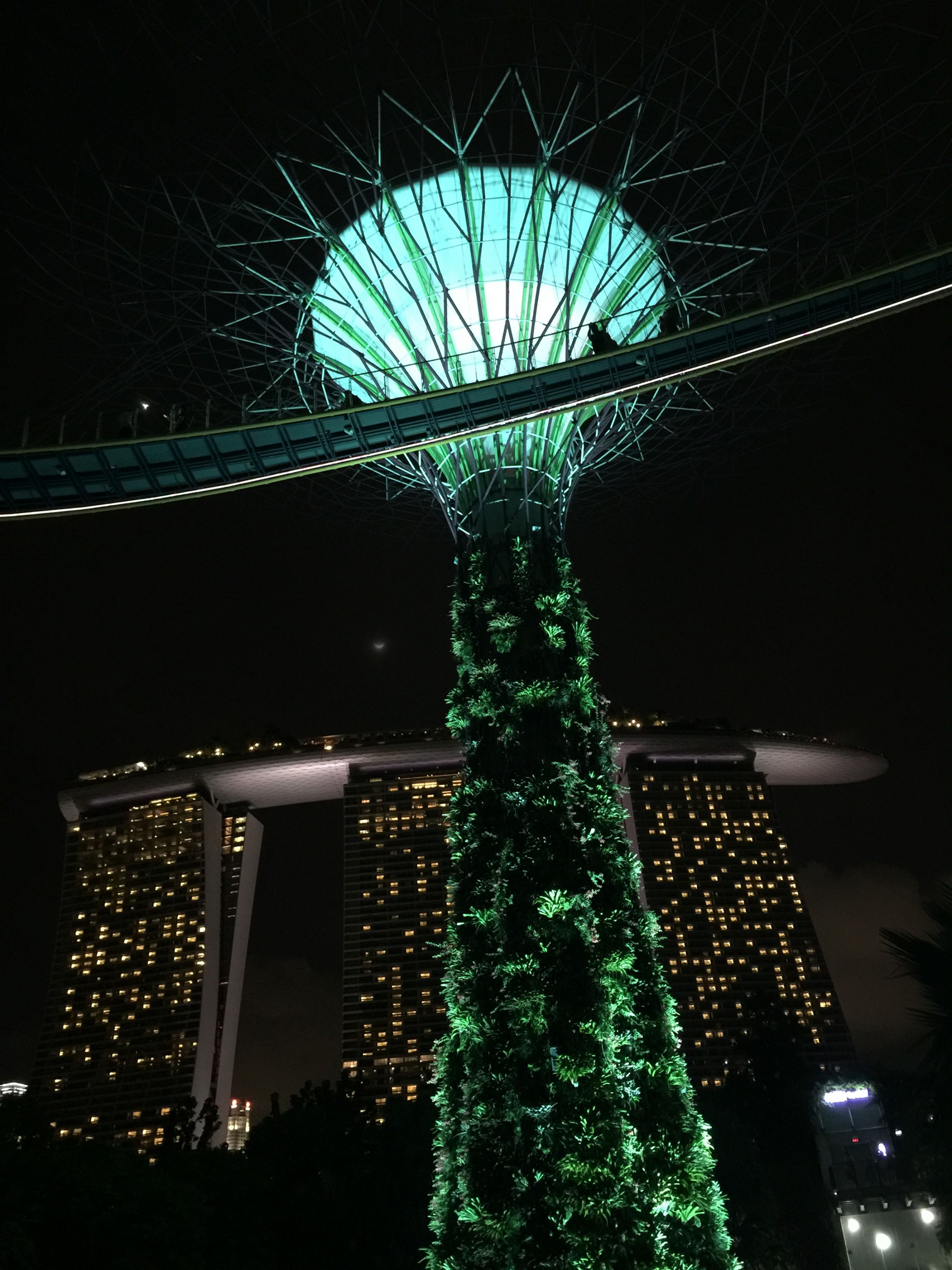 ס@¼±ɳƵMarina Bay Sands