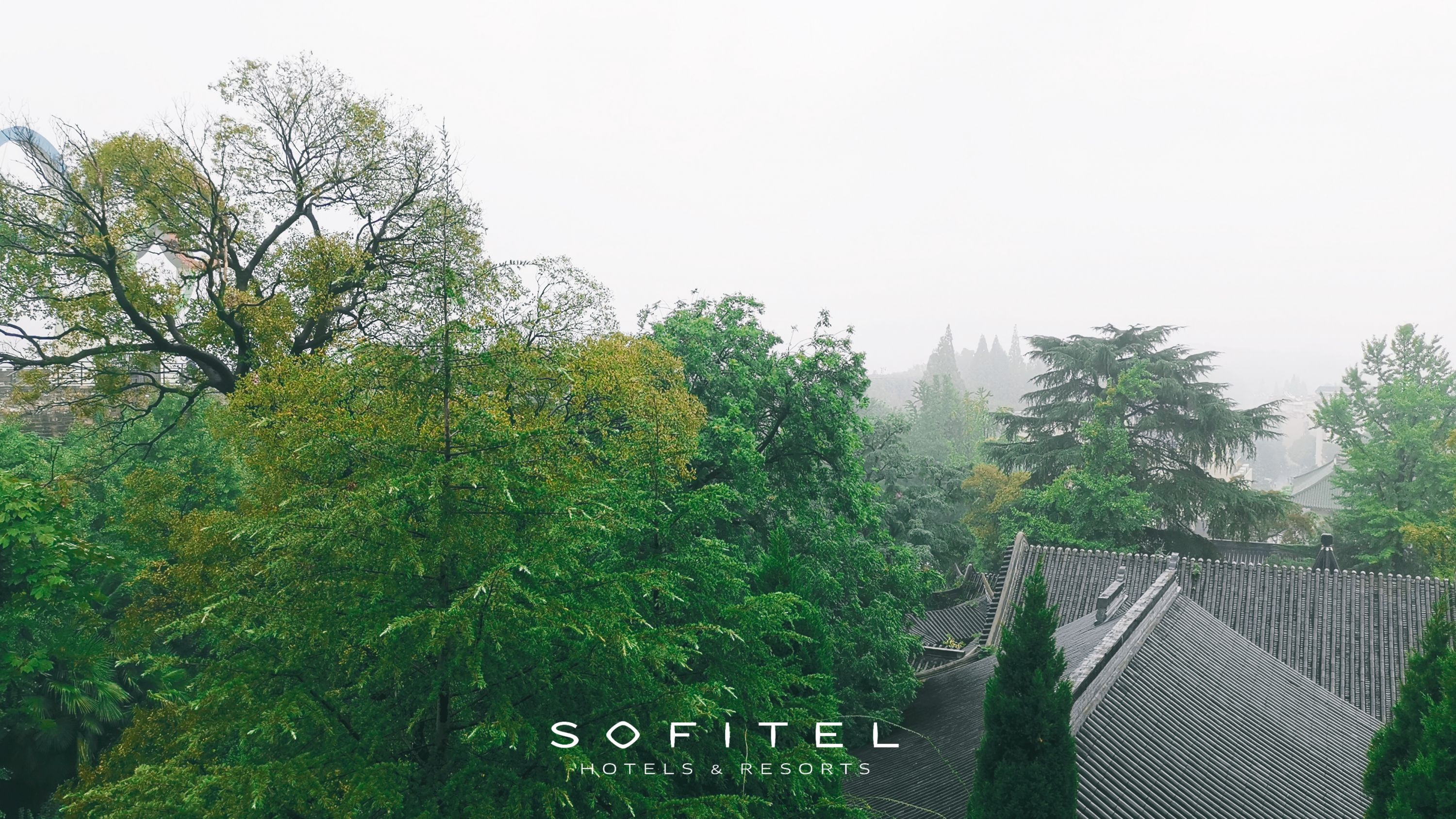 It's a lot better at Sofitel.ϾؾƵס