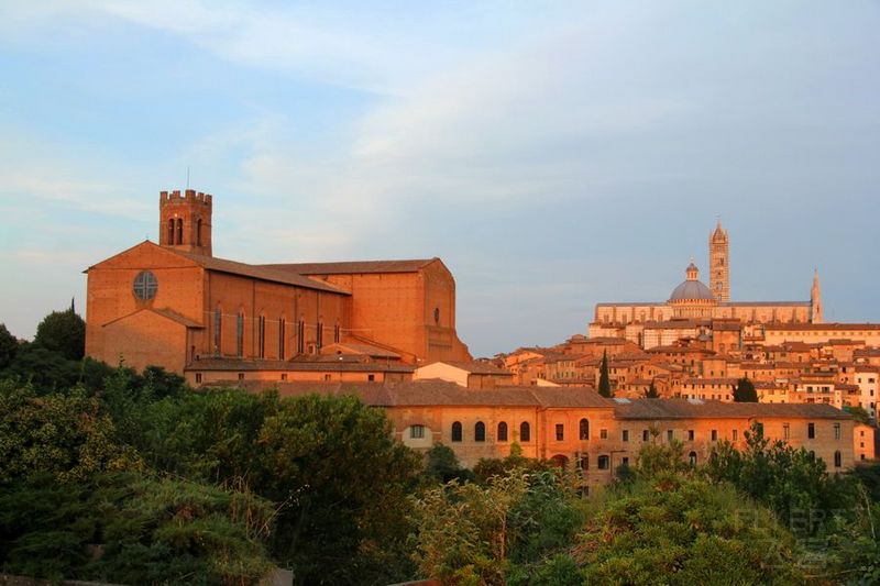 Siena--Sunrise (2).jpg