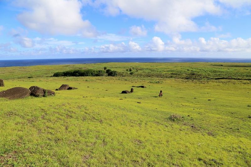 Easter Island (114).JPG