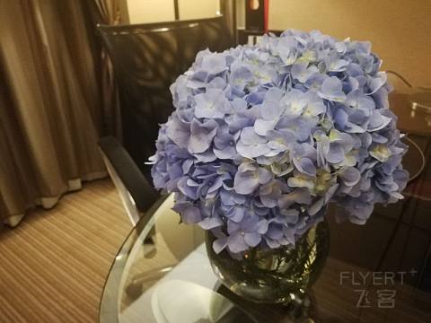 一起写我们的传奇-西安索菲特传奇&索菲特 中秋入住有感