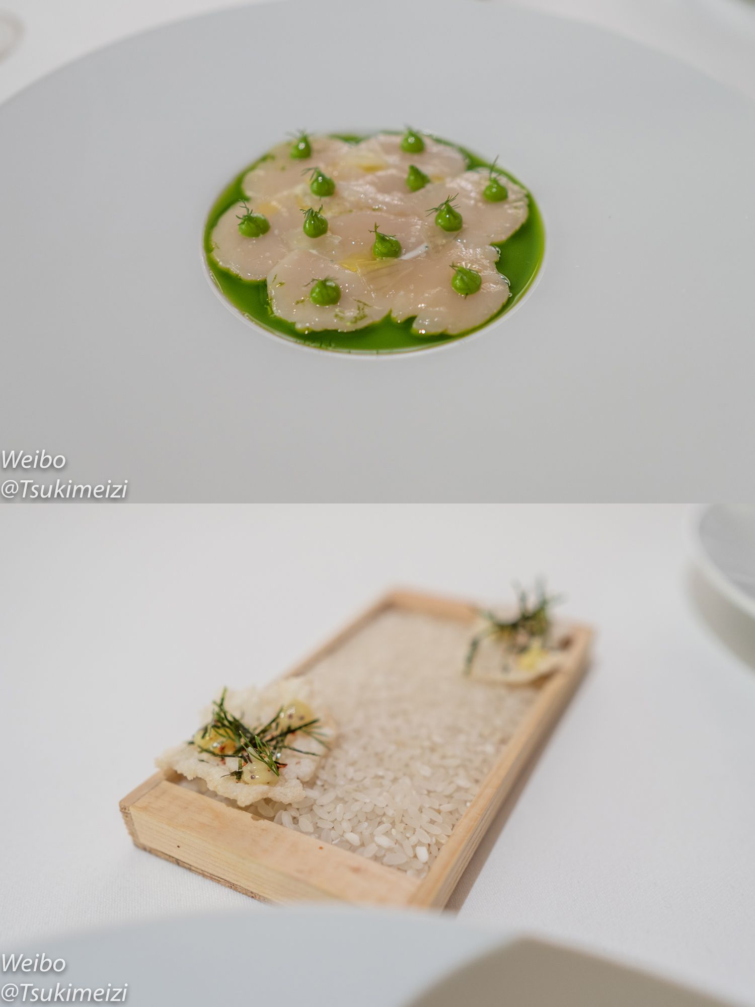 ¼ǡOdetteTop 501