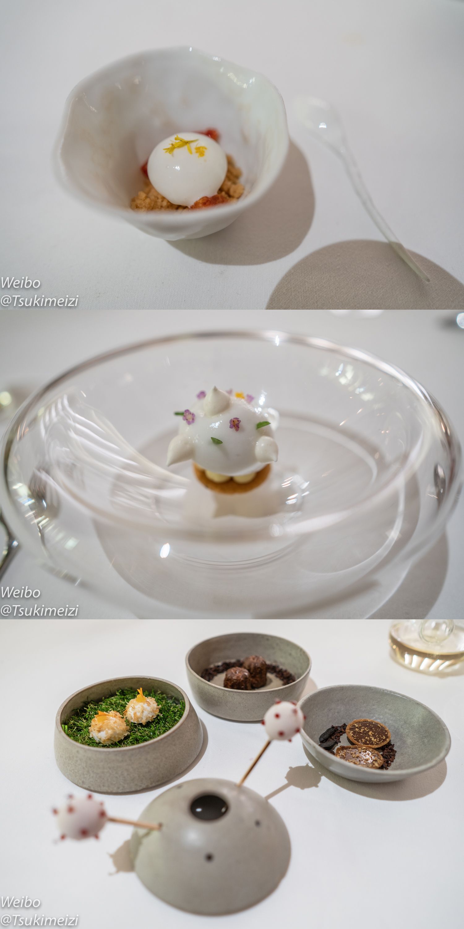 ¼ǡOdetteTop 501