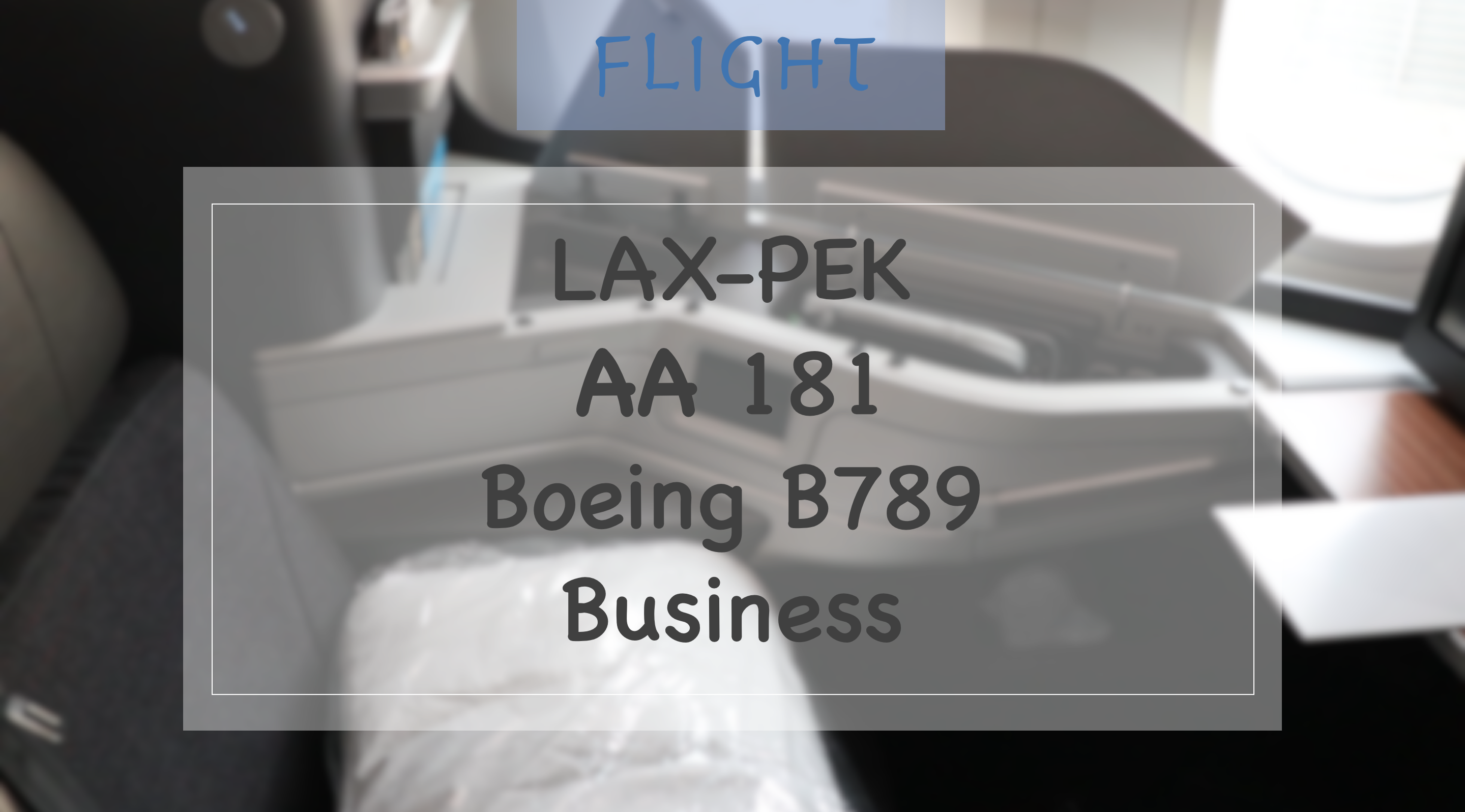 FlightLAX-PEK AA181 B789 C