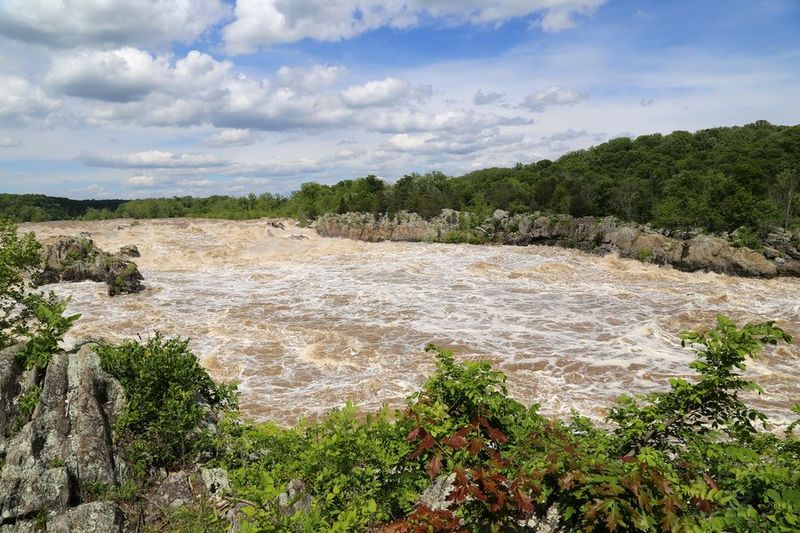 Virginia--Great Falls Park (29).JPG