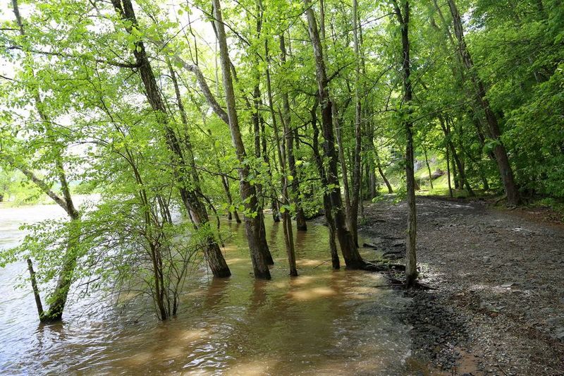 Virginia--Great Falls Park (43).JPG