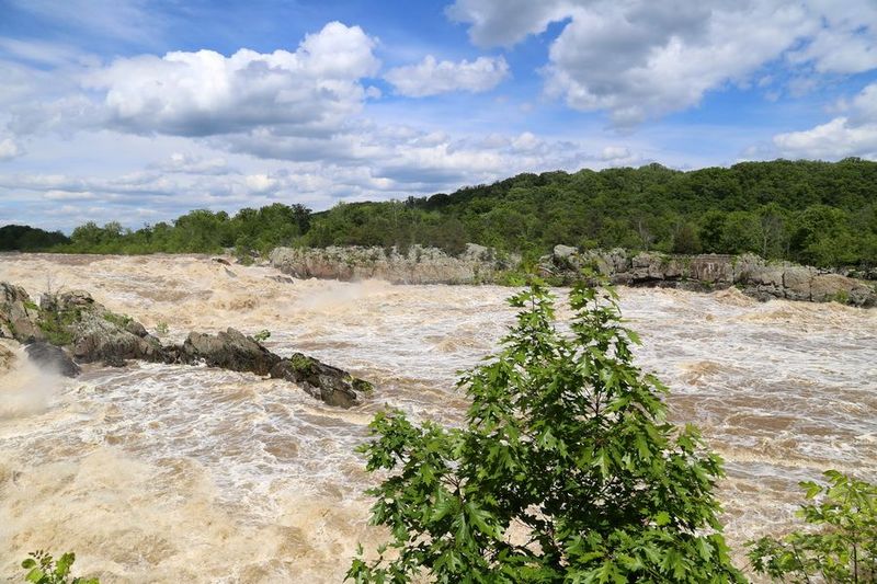 Virginia--Great Falls Park (38).JPG