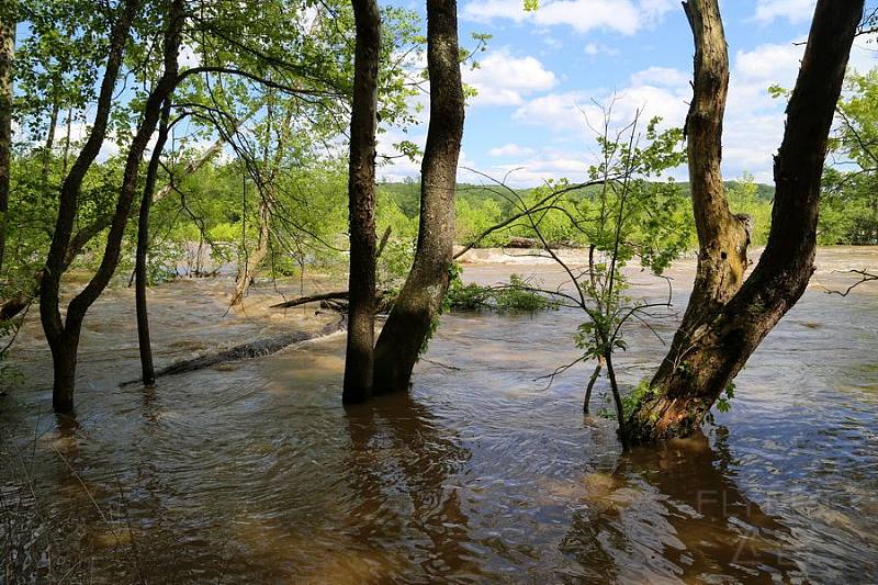 Virginia--Great Falls Park (44).JPG