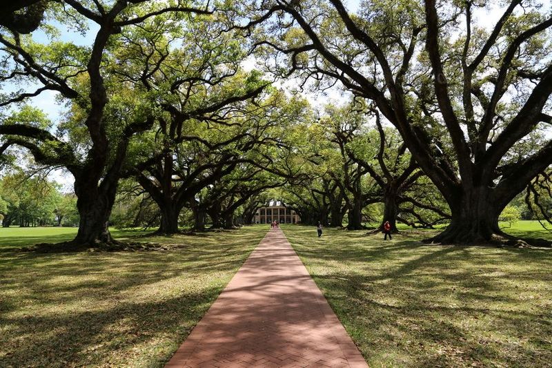 Oak Alley Plantation (15).JPG