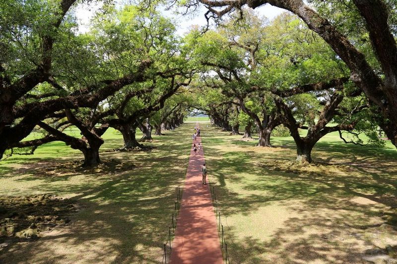 Oak Alley Plantation (25).JPG