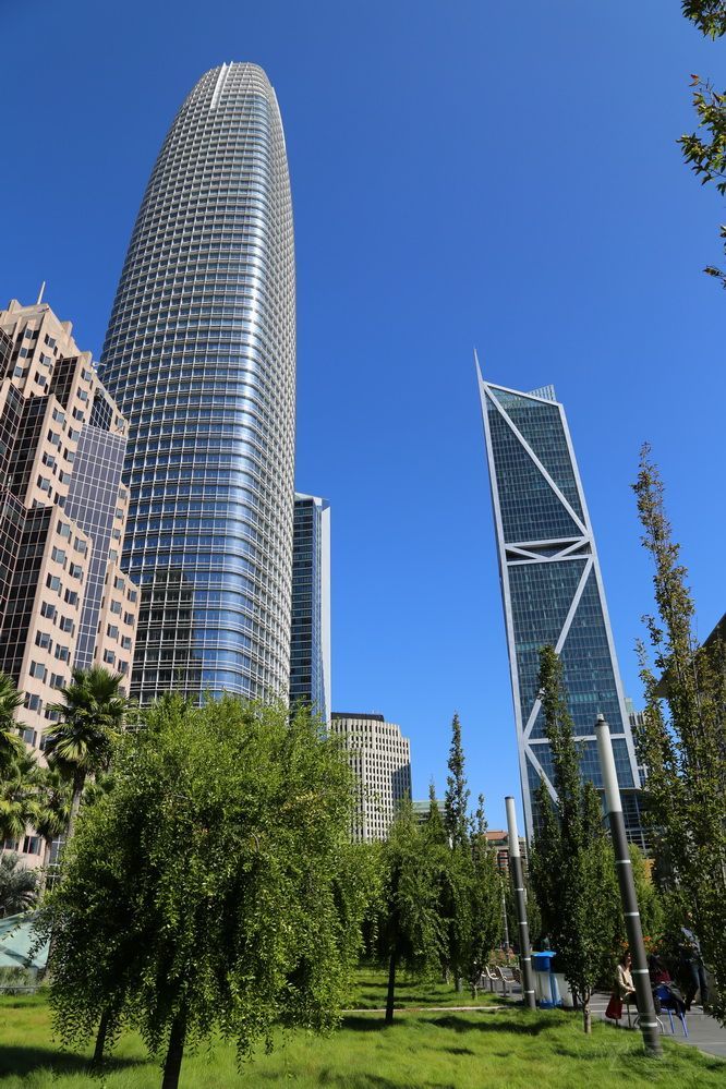 San Francisco--Downtown Salesforce Park (8).JPG