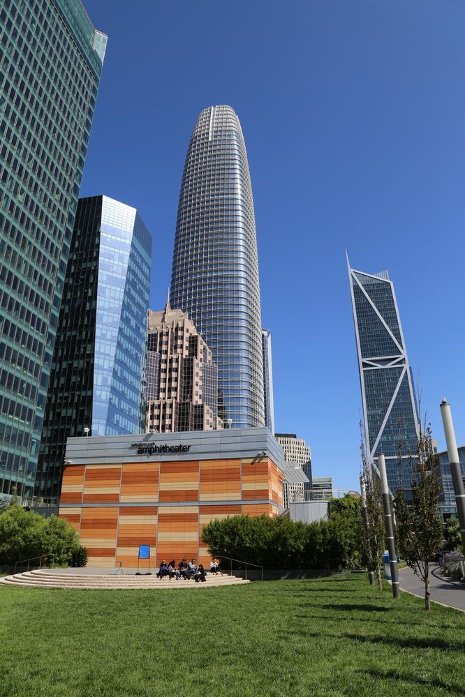 San Francisco--Downtown Salesforce Park (11).JPG