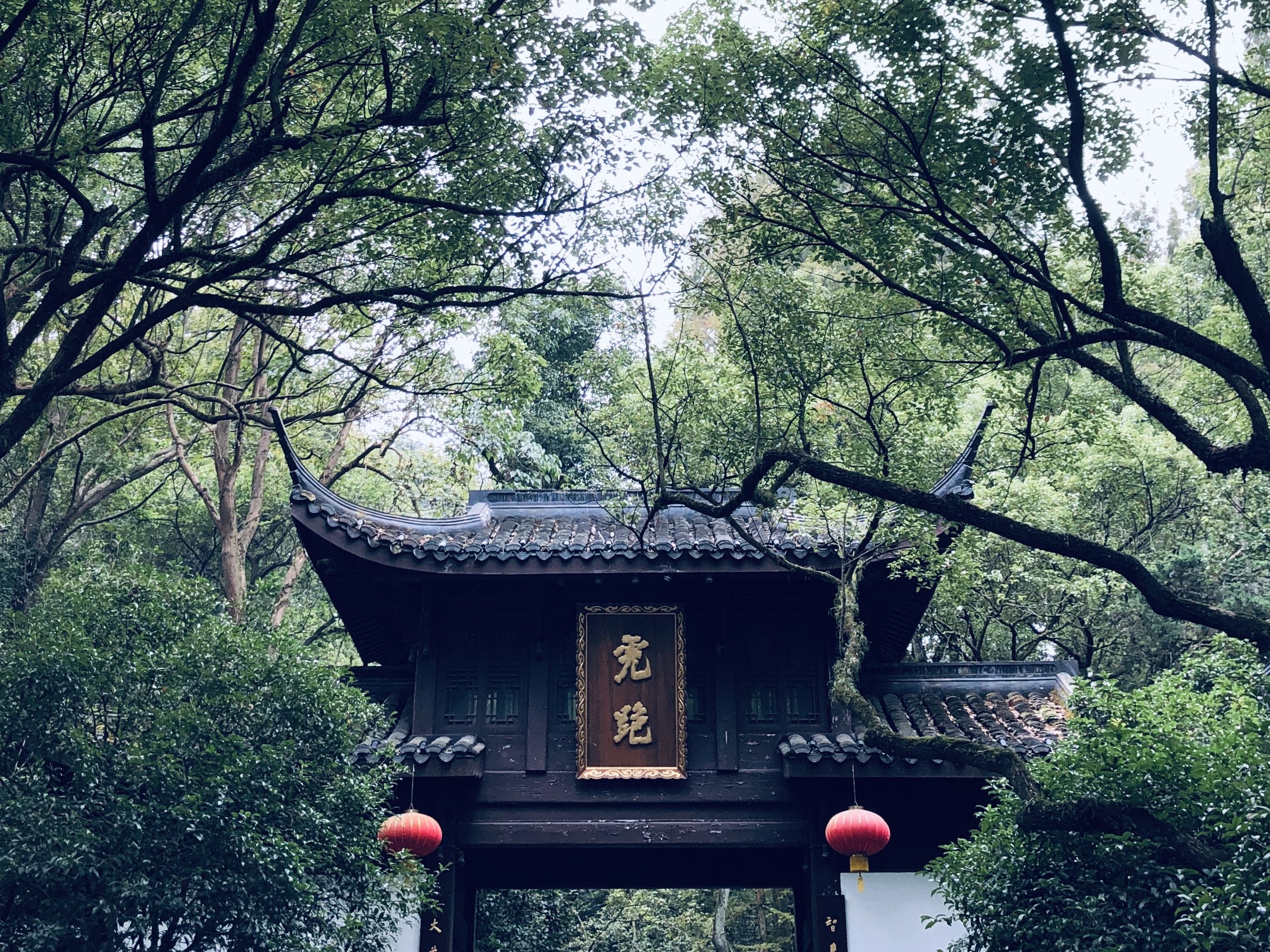 江南初秋 杭州滨江艾美行政套 虎跑公园的秋日游记 万豪旅享家 飞客网 江南初秋 杭州滨江艾美行政套 虎跑公园的秋日游记 万豪旅享家 飞客网