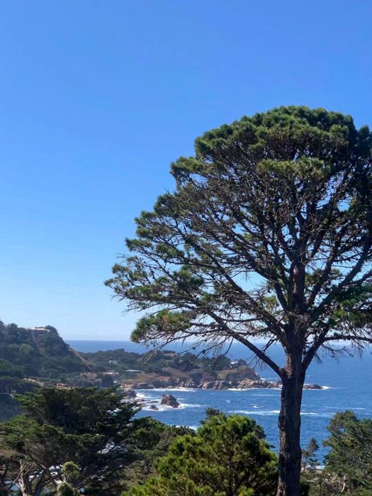 ÷ Hyatt Carmel Highlands, Overlooking Big Sur Coast - One Bedroom Suite