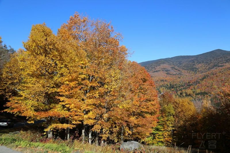 New Hampshire--White Mountain National Forest (76).JPG