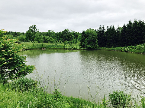 ɽµWonderland---Hilton Niseko Village