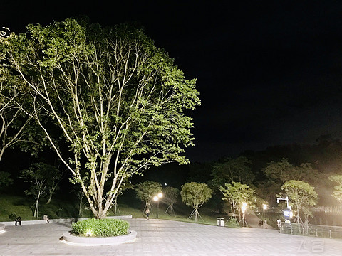 2019-08-30 214850.jpg