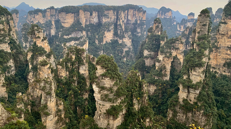 闃垮嚒杈 闃垮嚒杈