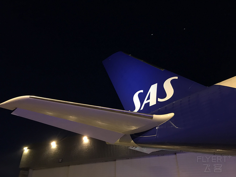 Tail Camera Installed On SAS A350.jpg