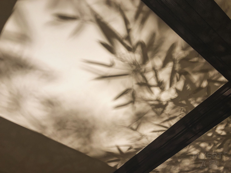 6285E08A77325AFEA1B7D9CB6FBB1E3B.png