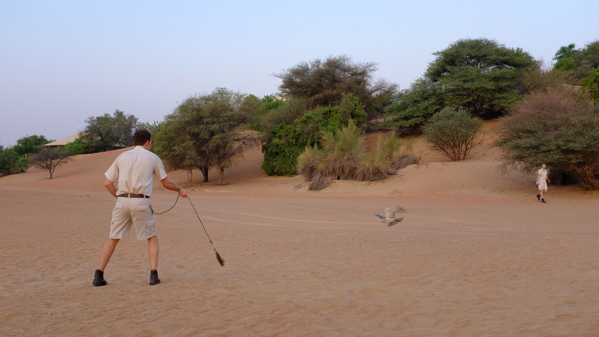 Al Maha, a Luxury Collection Desert Resort & Spaס飨3--ƪ