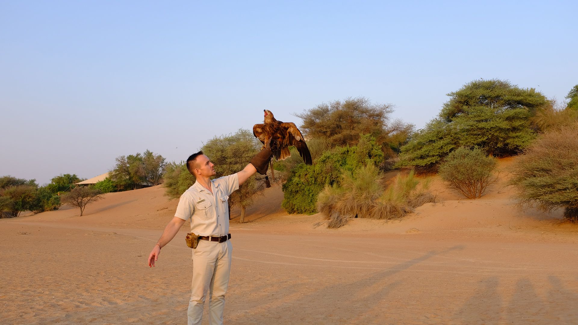 Al Maha, a Luxury Collection Desert Resort & Spaס飨3--ƪ
