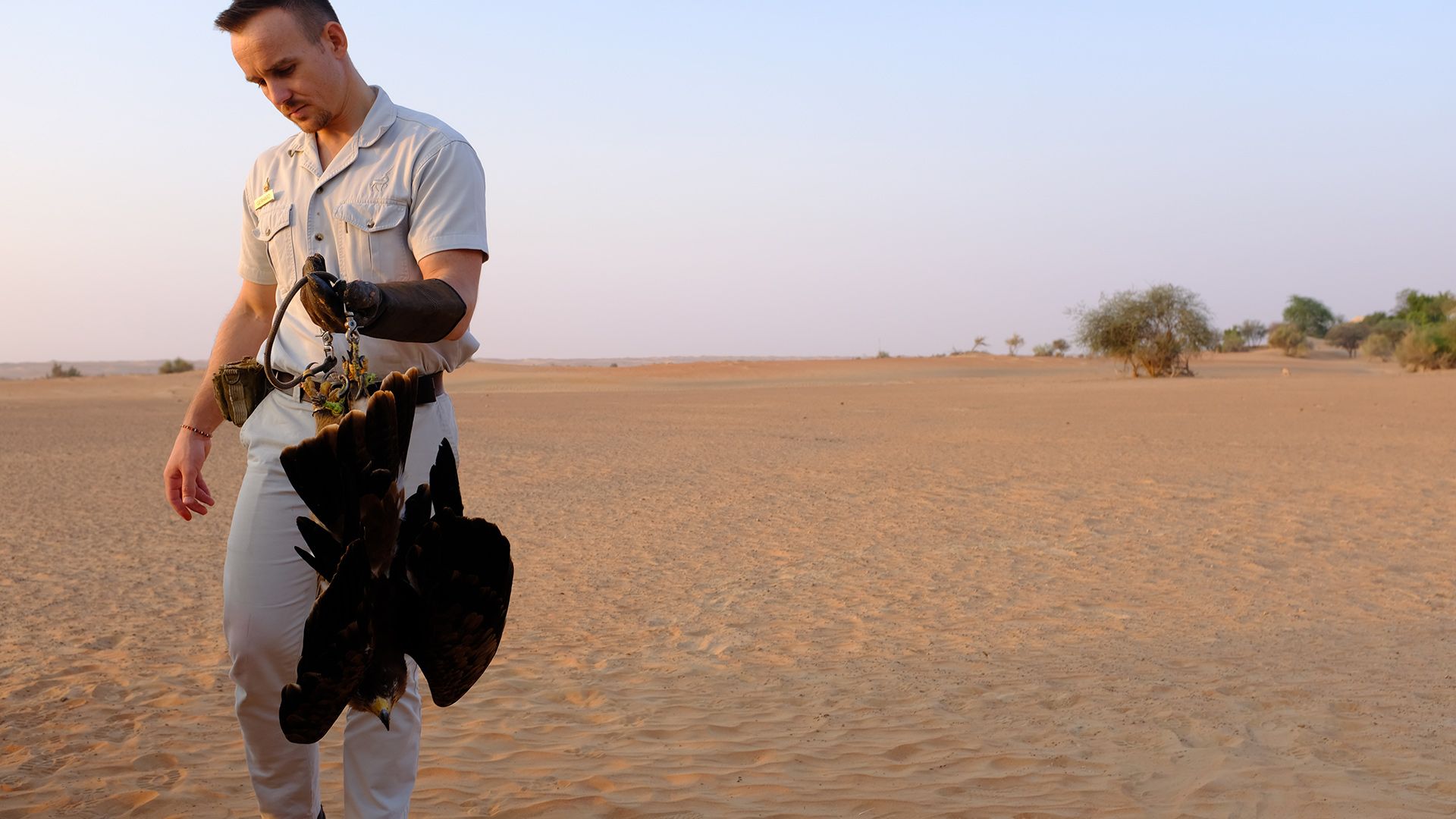 Al Maha, a Luxury Collection Desert Resort & Spaס飨3--ƪ