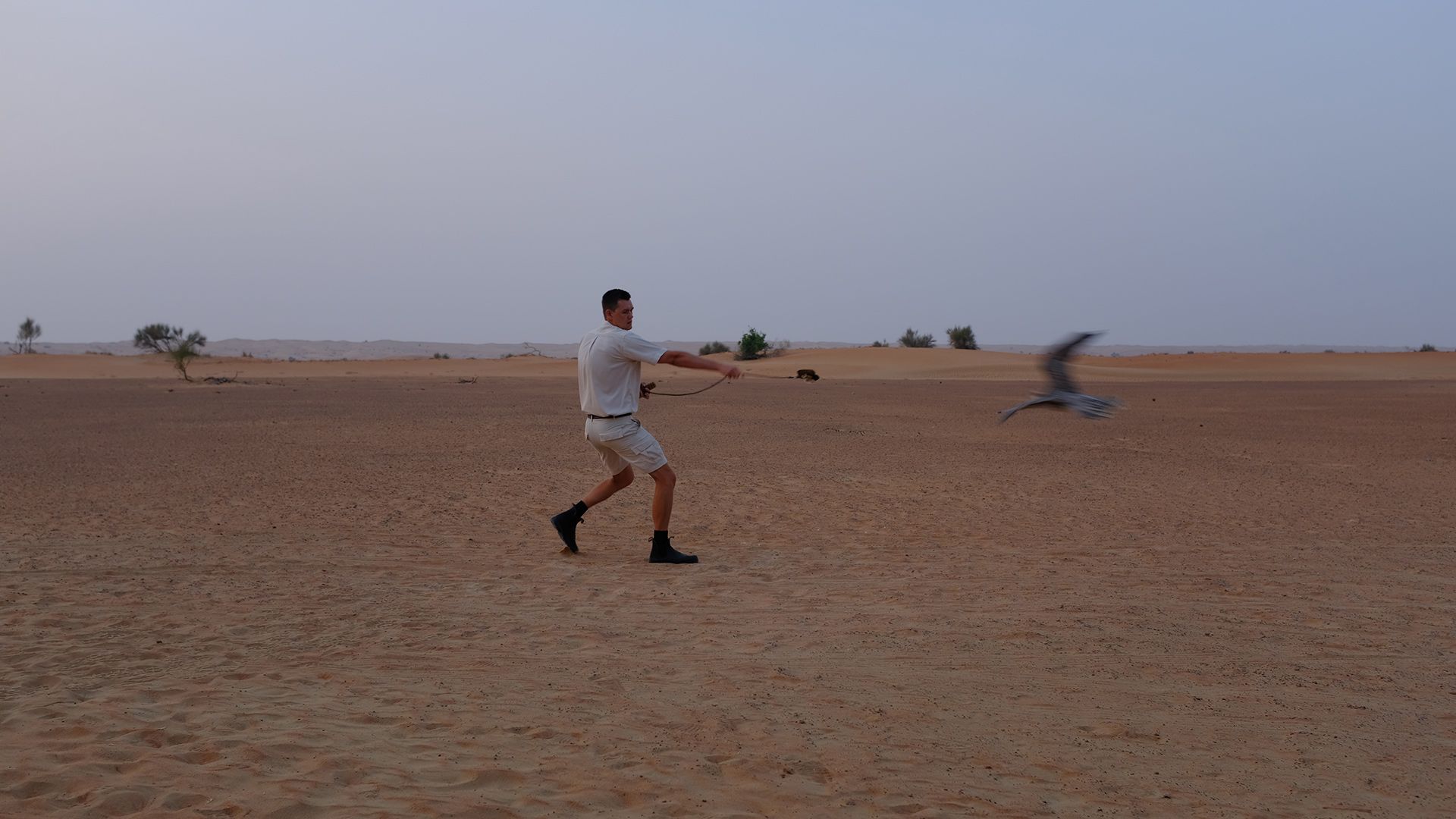 Al Maha, a Luxury Collection Desert Resort & Spaס飨3--ƪ
