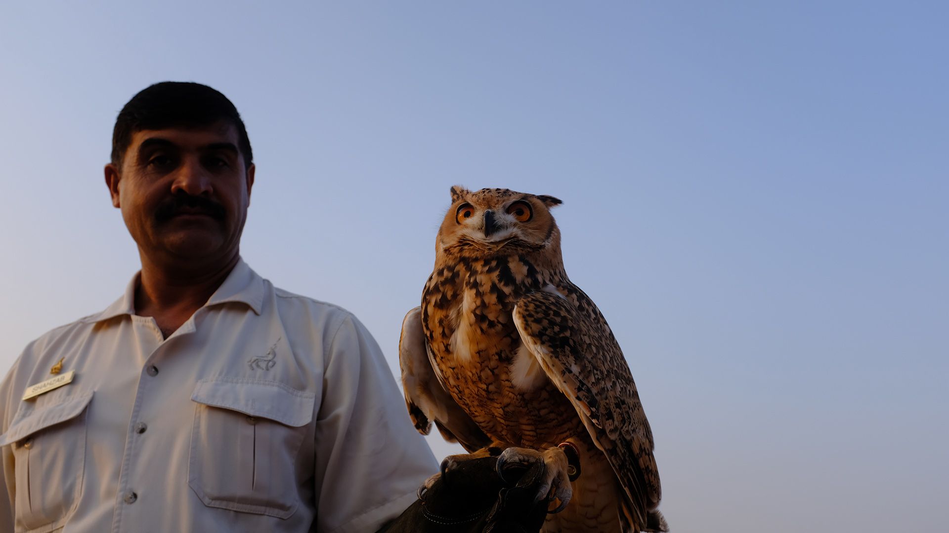 Al Maha, a Luxury Collection Desert Resort & Spaס飨3--ƪ